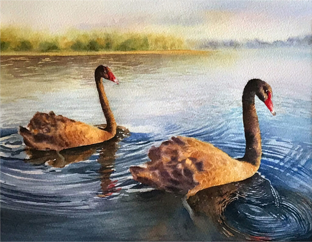 Black Swan