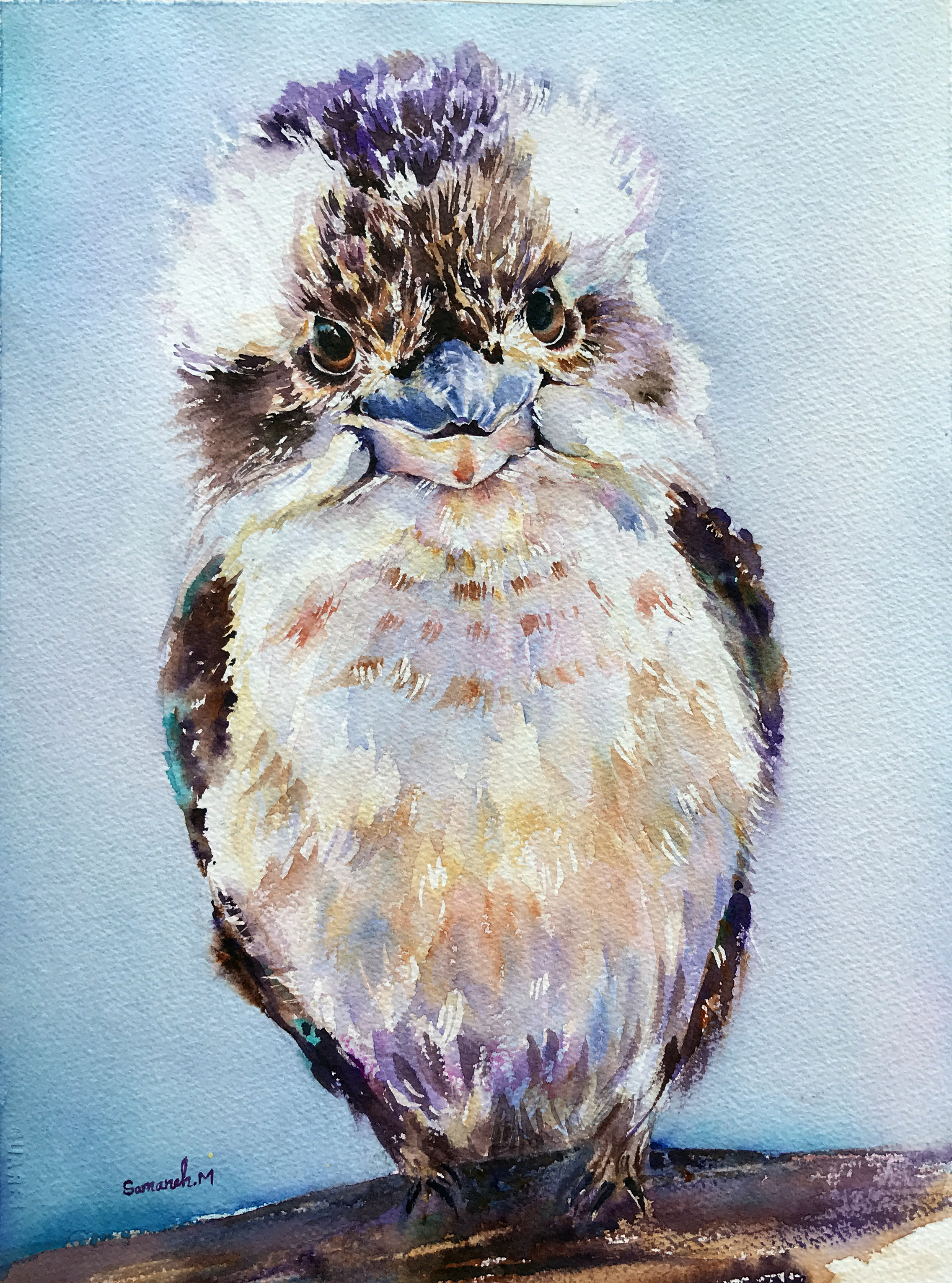 Watercolour portrait of a kookaburra looking toward the viewer