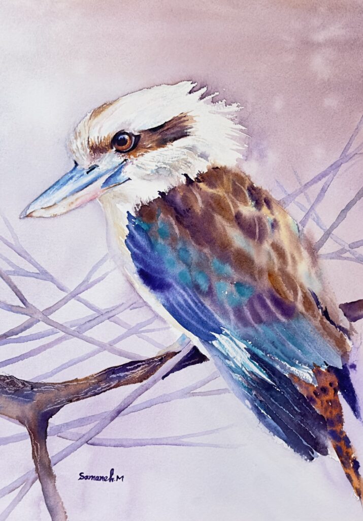 Laughing kookaburra