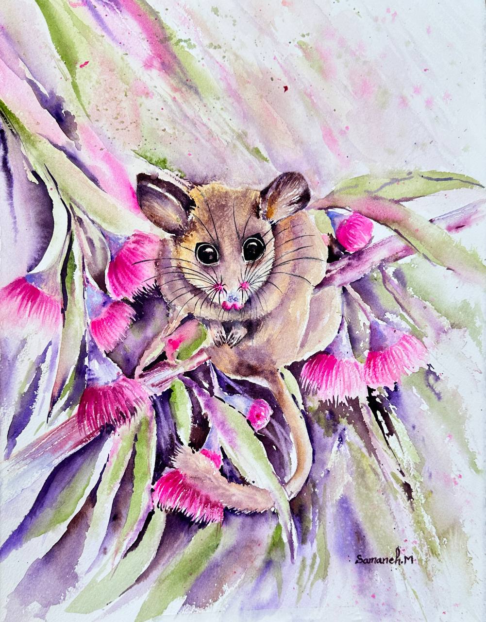 Untitled (Samaneh.Mohtadi.Playful Possumjpg), artwork by Samaneh Mohtadi