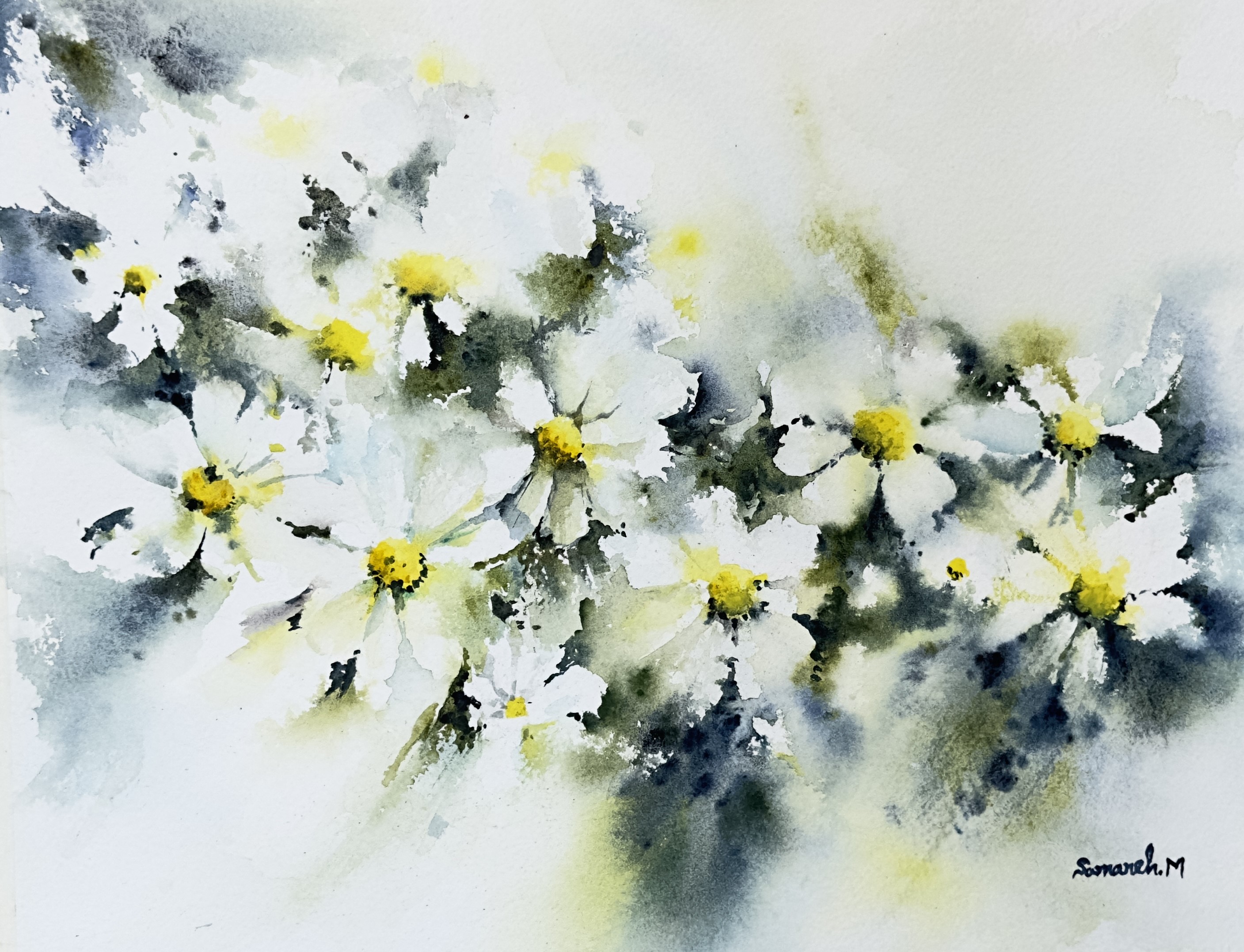 White flowers with yellow centres painted in watercolour