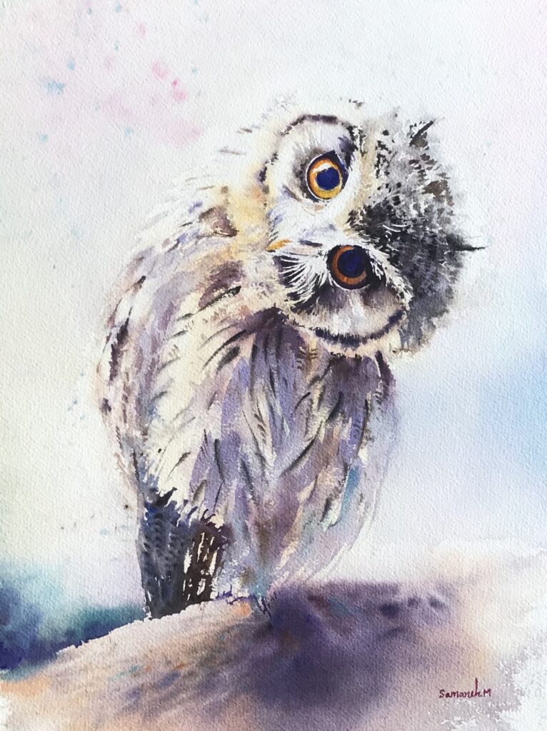 Curious Owl