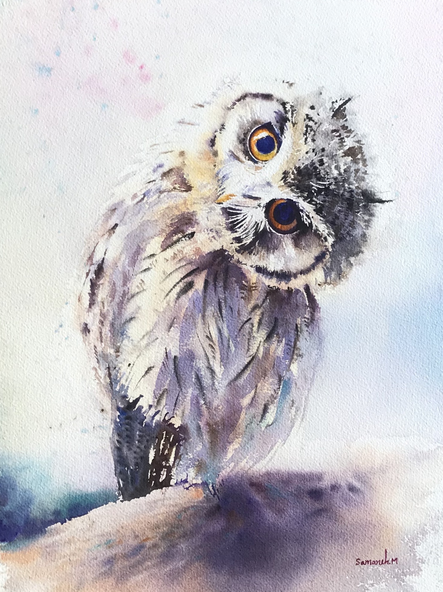 A small owl peering out with bright eyes