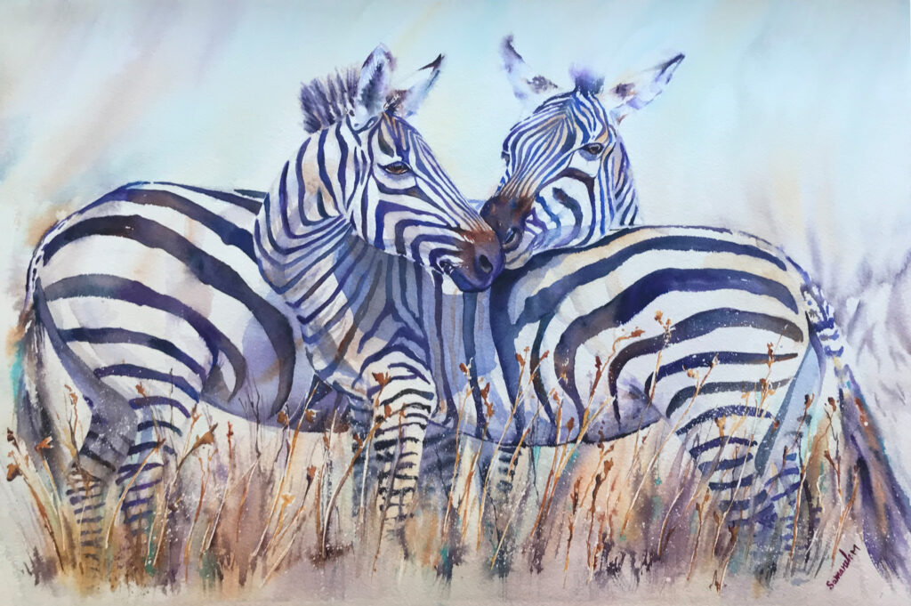 Zebras