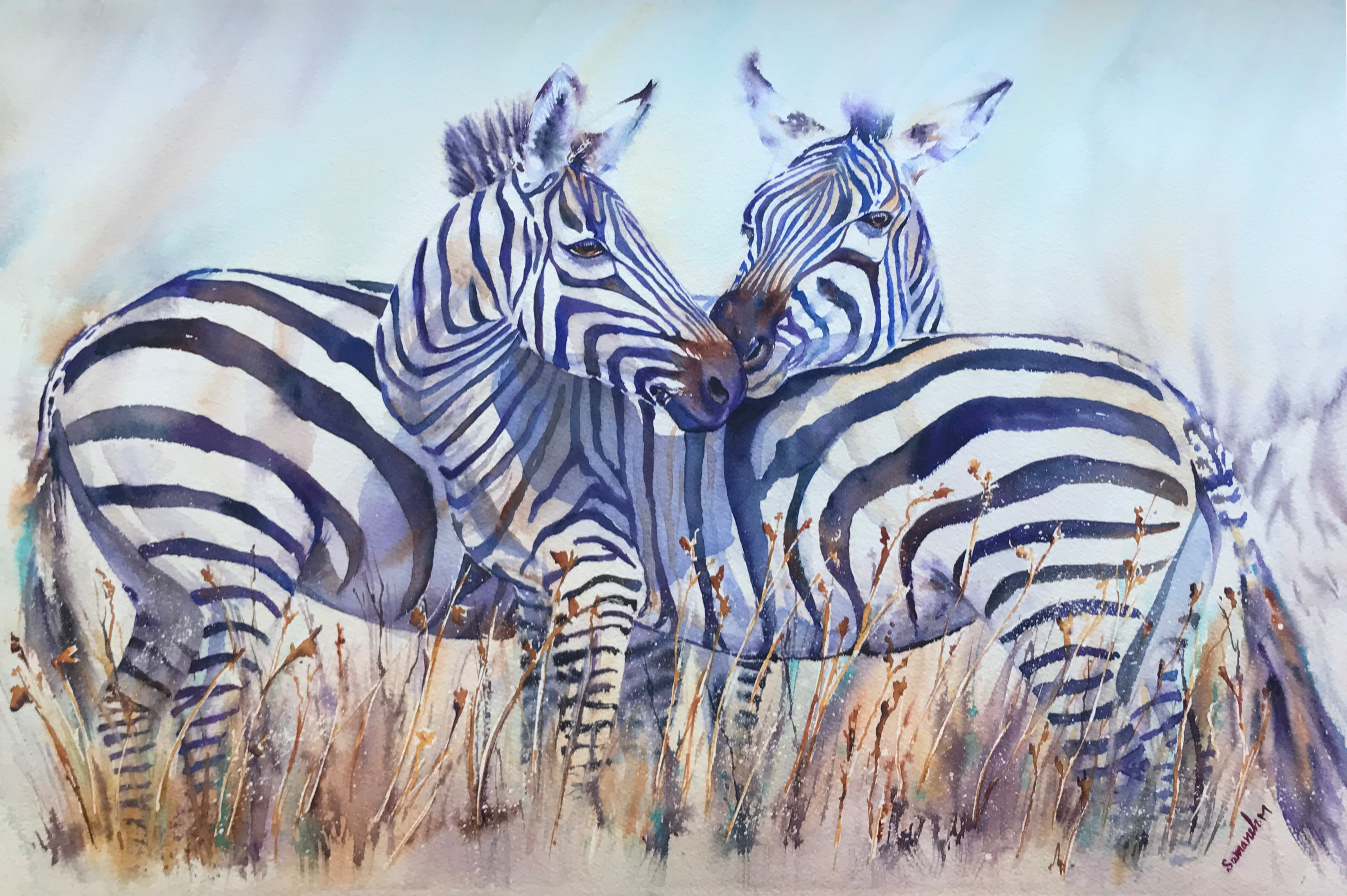 zebra, artwork by Samaneh Mohtadi